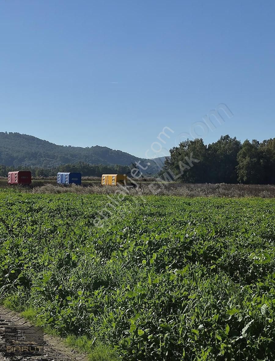 Muğla Marmaris Fethiye Üçgeninde Yatırımlık Tarla - Görsel 21