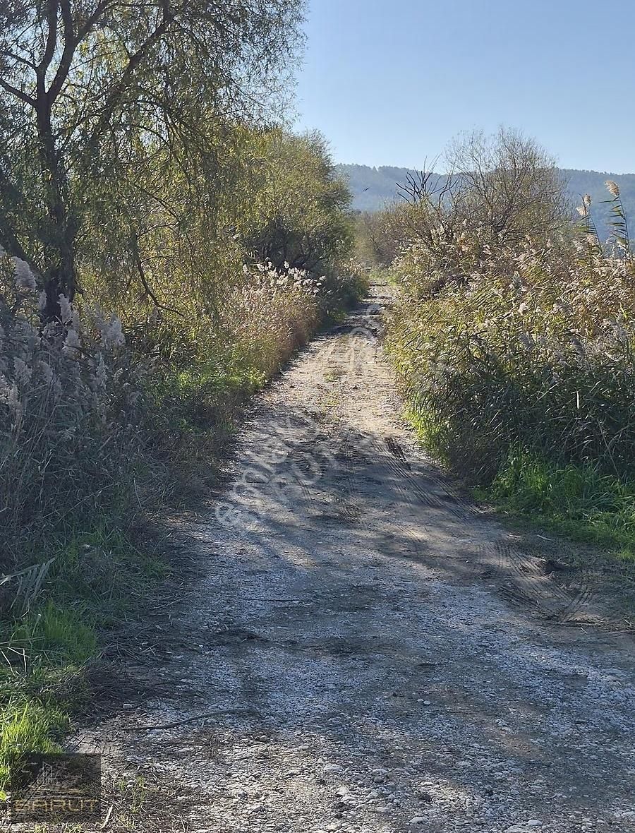 Muğla Marmaris Fethiye Üçgeninde Yatırımlık Tarla - Görsel 6