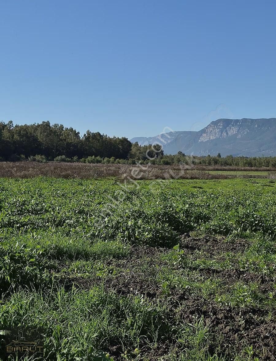 Muğla Marmaris Fethiye Üçgeninde Yatırımlık Tarla - Görsel 4