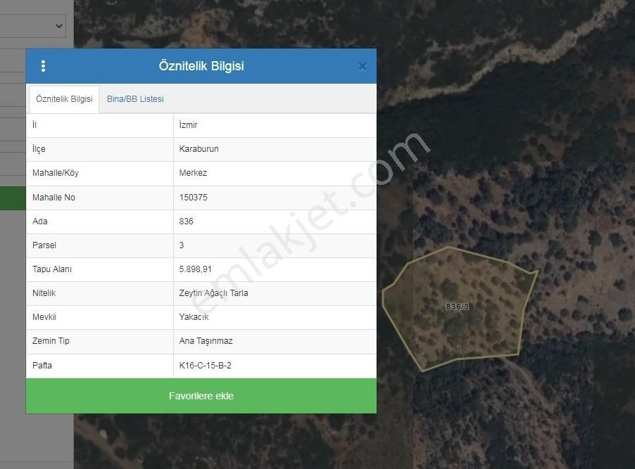 Karaburun Merkez Mah. Deniz Manzaralı Zeytin Ağaçlı Arazi - Görsel 4