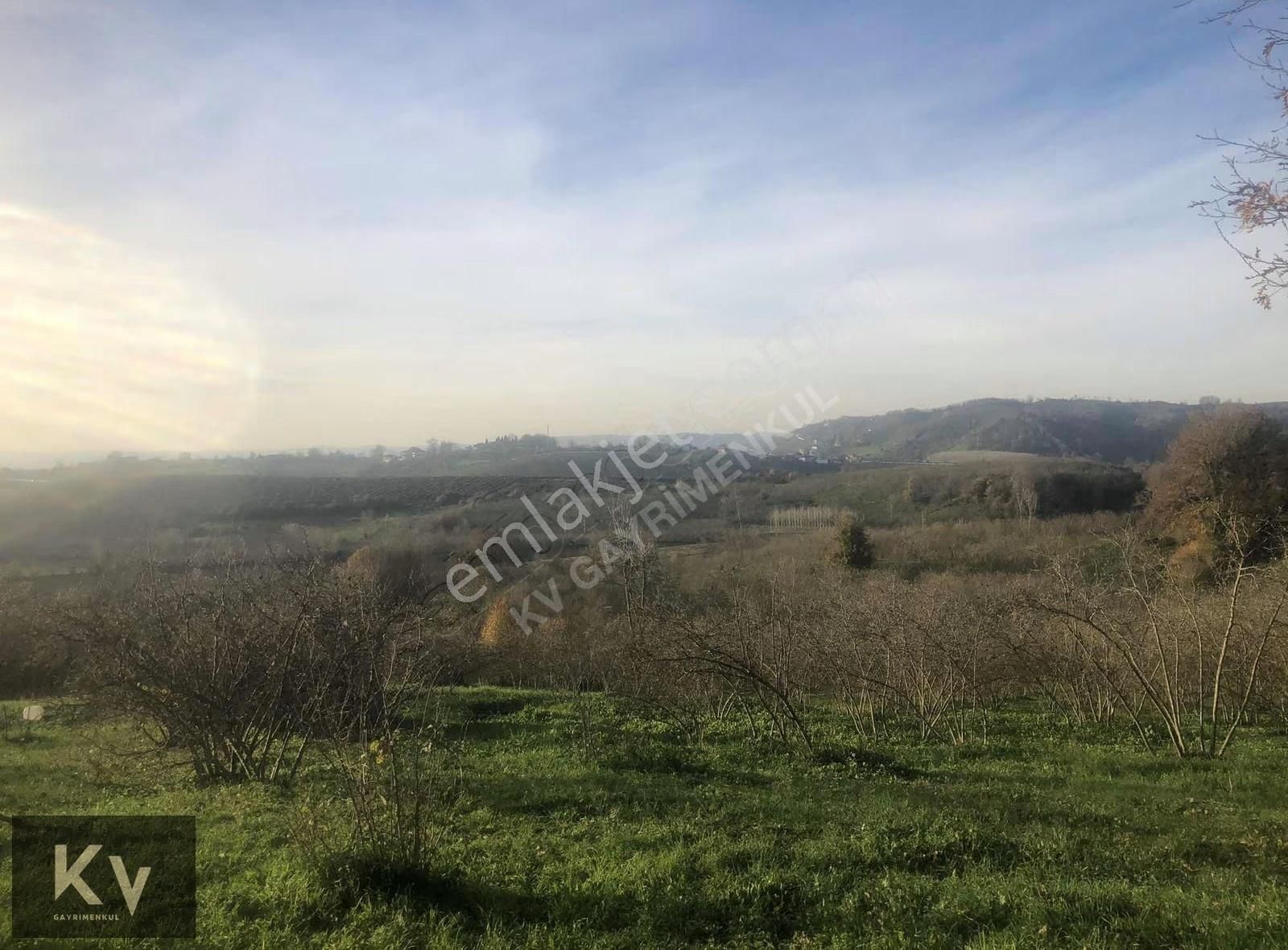 Kv Gayrimenkul'den Karasu Darıçayırı'nda Satılık Fındık Bahçesi - Görsel 11