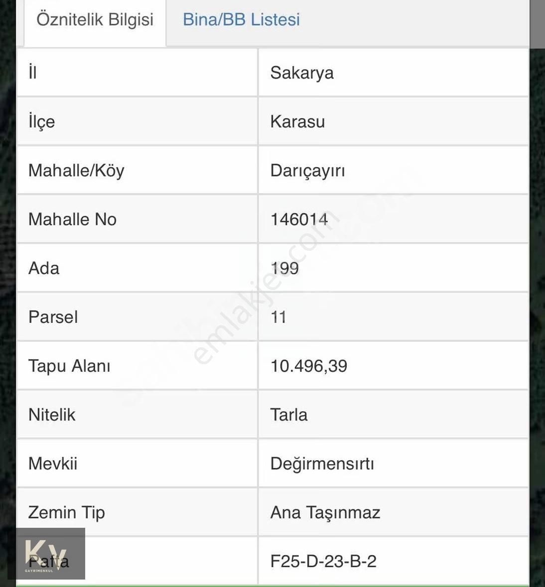 Kv Gayrimenkul'den Karasu Darıçayırı'nda Satılık Fındık Bahçesi - Görsel 10