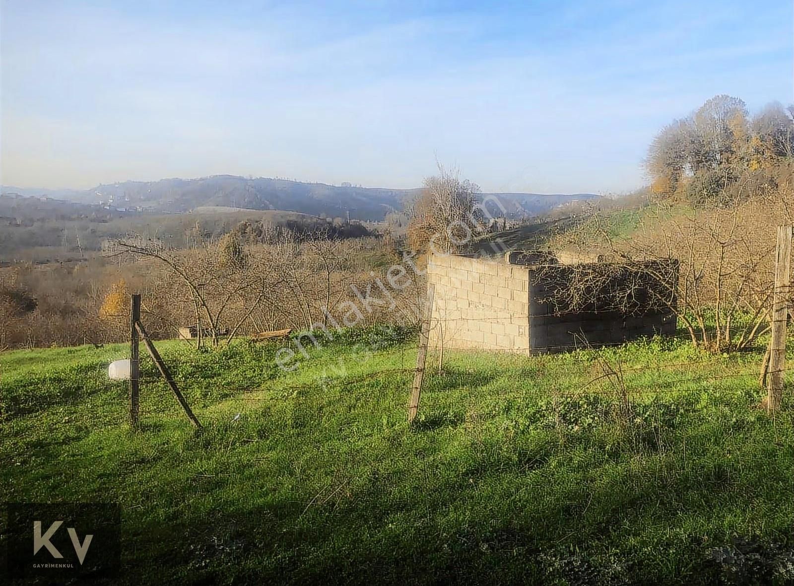 Kv Gayrimenkul'den Karasu Darıçayırı'nda Satılık Fındık Bahçesi - Görsel 8