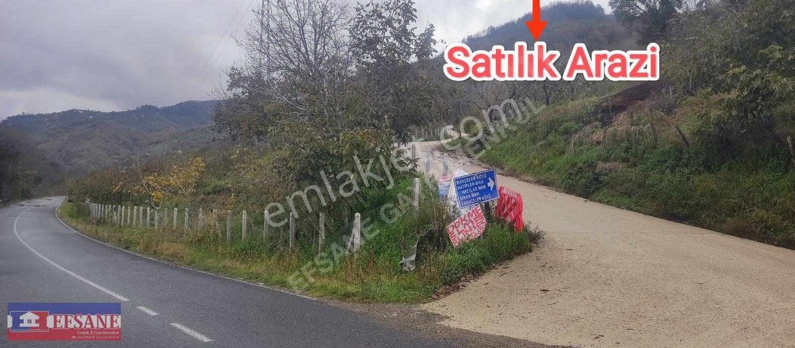 Fatsa Erenyurt Sapağında Satılık Ev' Lik Arazi