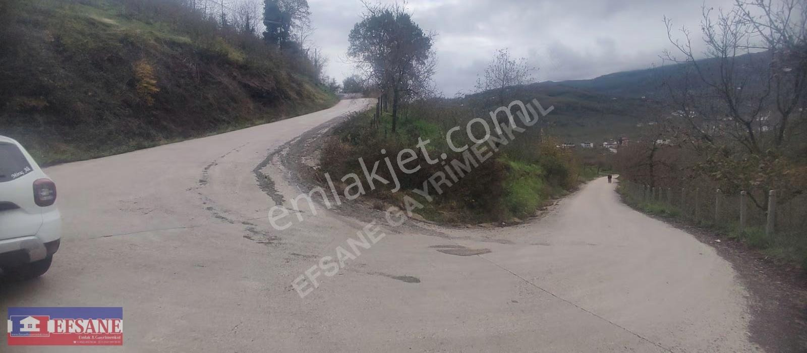 Fatsa Erenyurt Sapağında Satılık Ev' Lik Arazi - Görsel 2