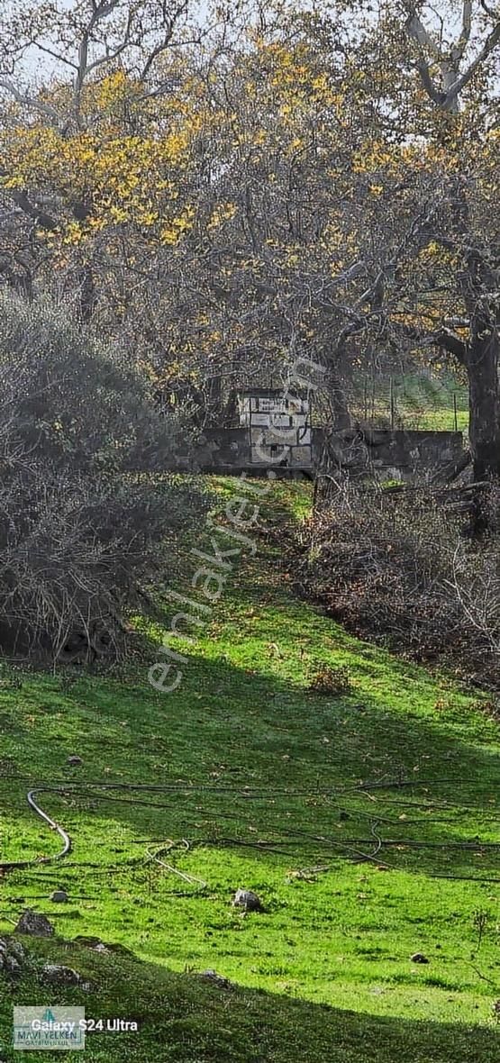 Çanakkale Merkez Serçiler Köyü Satılık Arazi - Görsel 5