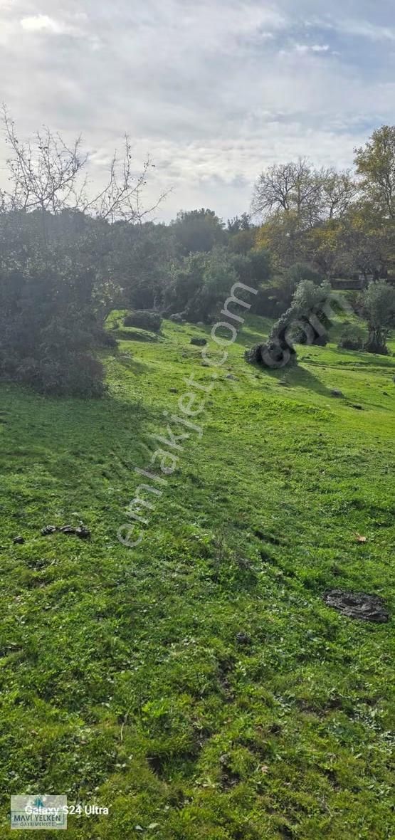 Çanakkale Merkez Serçiler Köyü Satılık Arazi - Görsel 12