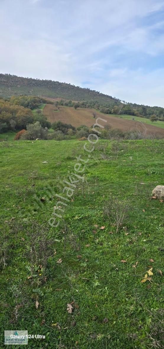 Çanakkale Merkez Serçiler Köyü Satılık Arazi