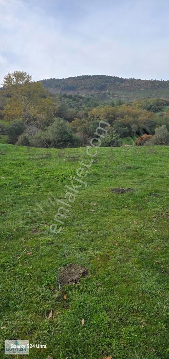 Çanakkale Merkez Serçiler Köyü Satılık Arazi - Görsel 27