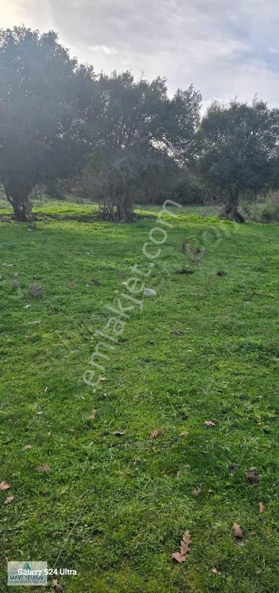 Çanakkale Merkez Serçiler Köyü Satılık Arazi - Görsel 3