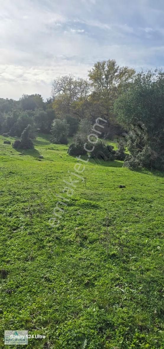 Çanakkale Merkez Serçiler Köyü Satılık Arazi - Görsel 6