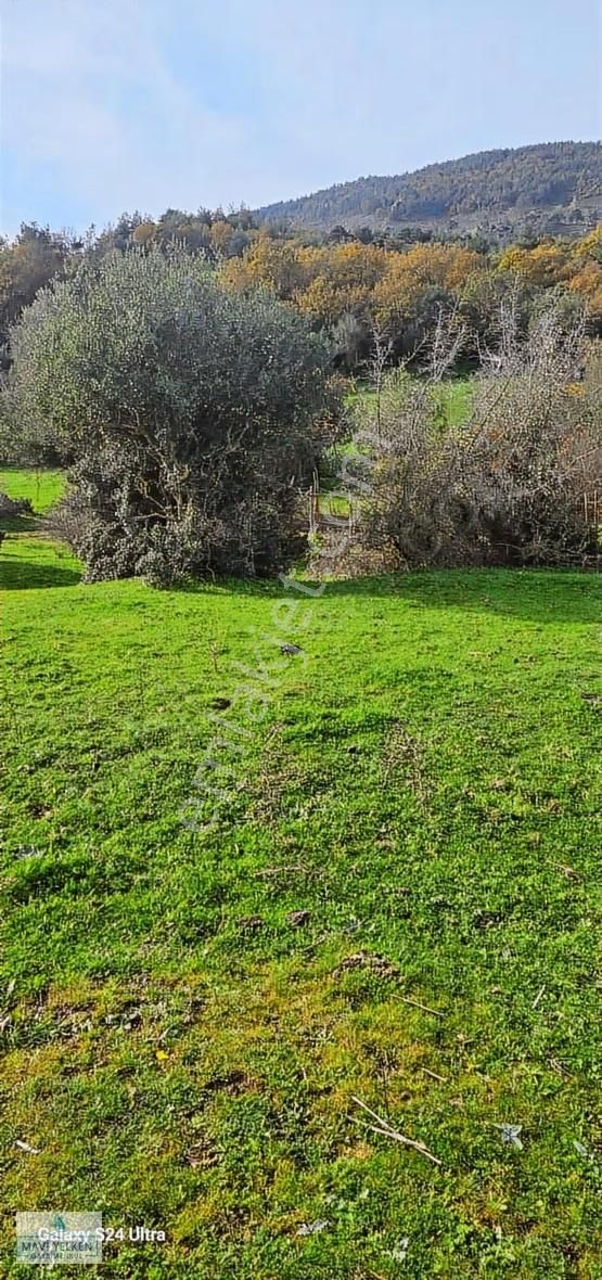 Çanakkale Merkez Serçiler Köyü Satılık Arazi - Görsel 11