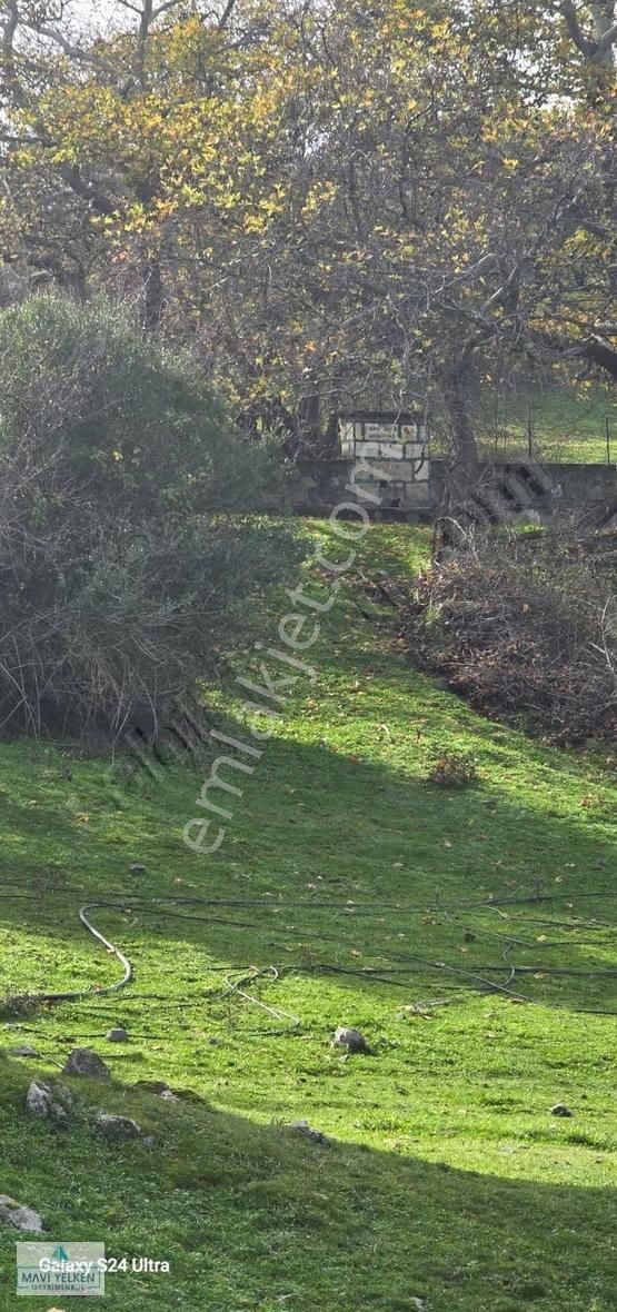 Çanakkale Merkez Serçiler Köyü Satılık Arazi - Görsel 4