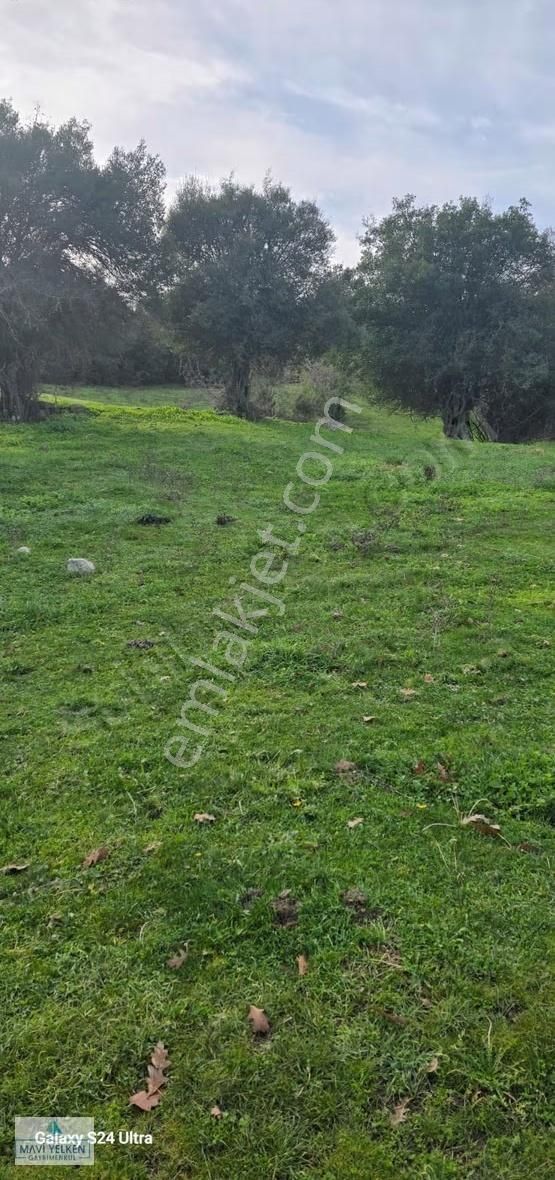Çanakkale Merkez Serçiler Köyü Satılık Arazi - Görsel 10