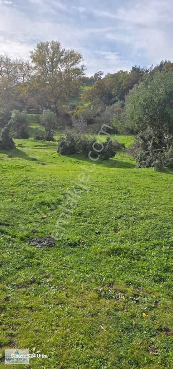 Çanakkale Merkez Serçiler Köyü Satılık Arazi - Görsel 19