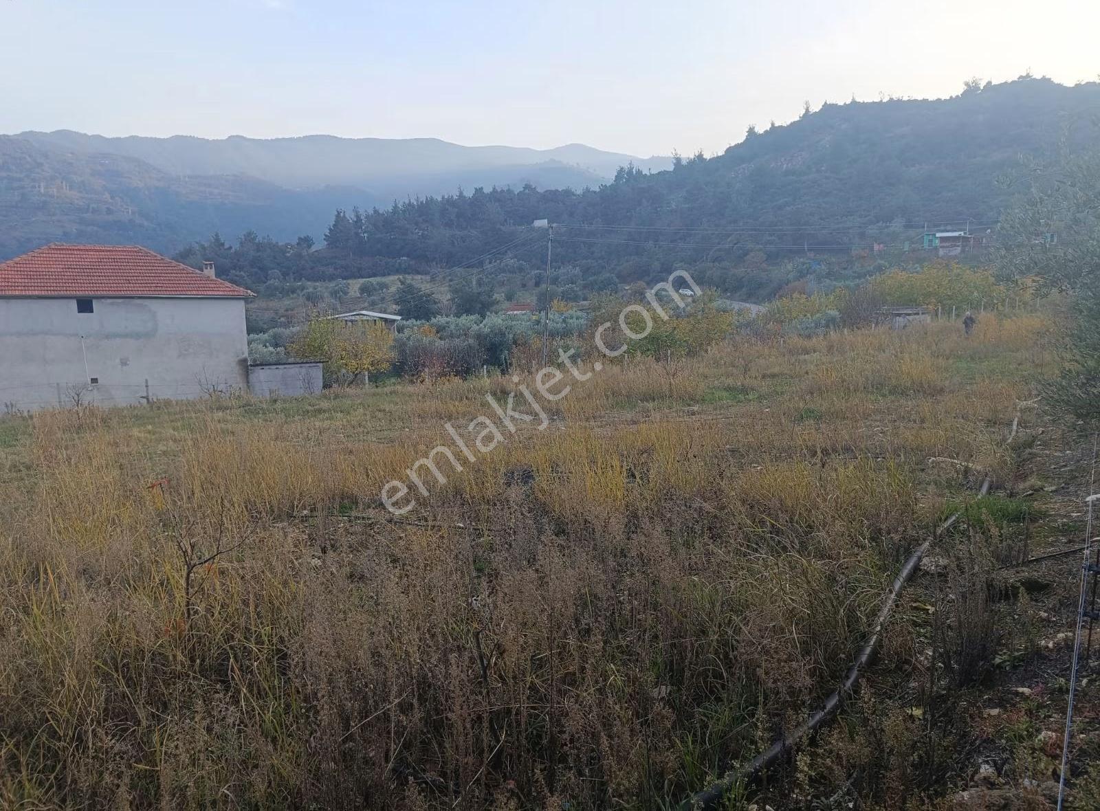Allahdiyen Mahallesinde 5000 M2 Satılık Meyve Bahçesi - Görsel 13