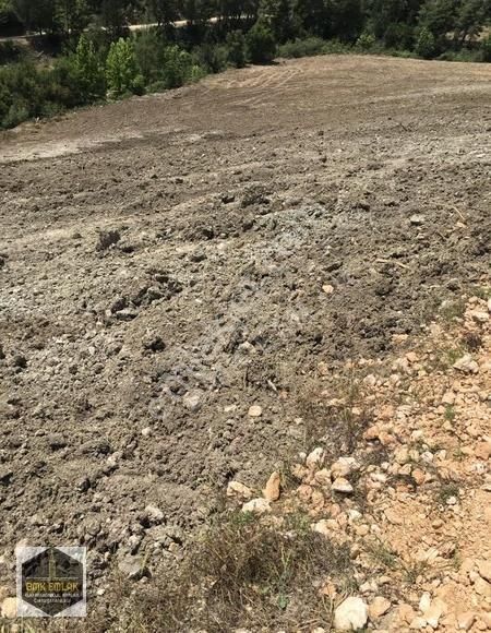 Bmk Kumluca Yenikışlada 31 Dönüm Satılık Tarla Ve Nar Bahçesi - Görsel 21