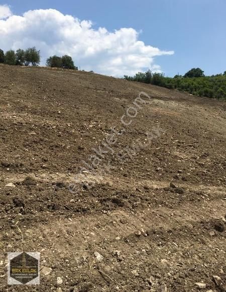 Bmk Kumluca Yenikışlada 31 Dönüm Satılık Tarla Ve Nar Bahçesi - Görsel 19