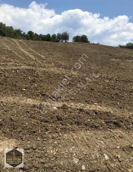 Bmk Kumluca Yenikışlada 31 Dönüm Satılık Tarla Ve Nar Bahçesi - Görsel 3