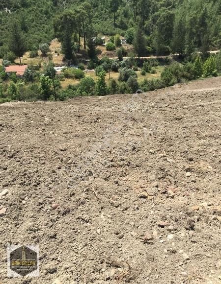 Bmk Kumluca Yenikışlada 31 Dönüm Satılık Tarla Ve Nar Bahçesi - Görsel 14