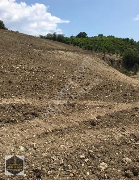 Bmk Kumluca Yenikışlada 31 Dönüm Satılık Tarla Ve Nar Bahçesi - Görsel 26