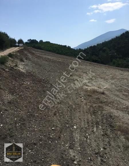 Bmk Kumluca Yenikışlada 31 Dönüm Satılık Tarla Ve Nar Bahçesi - Görsel 11