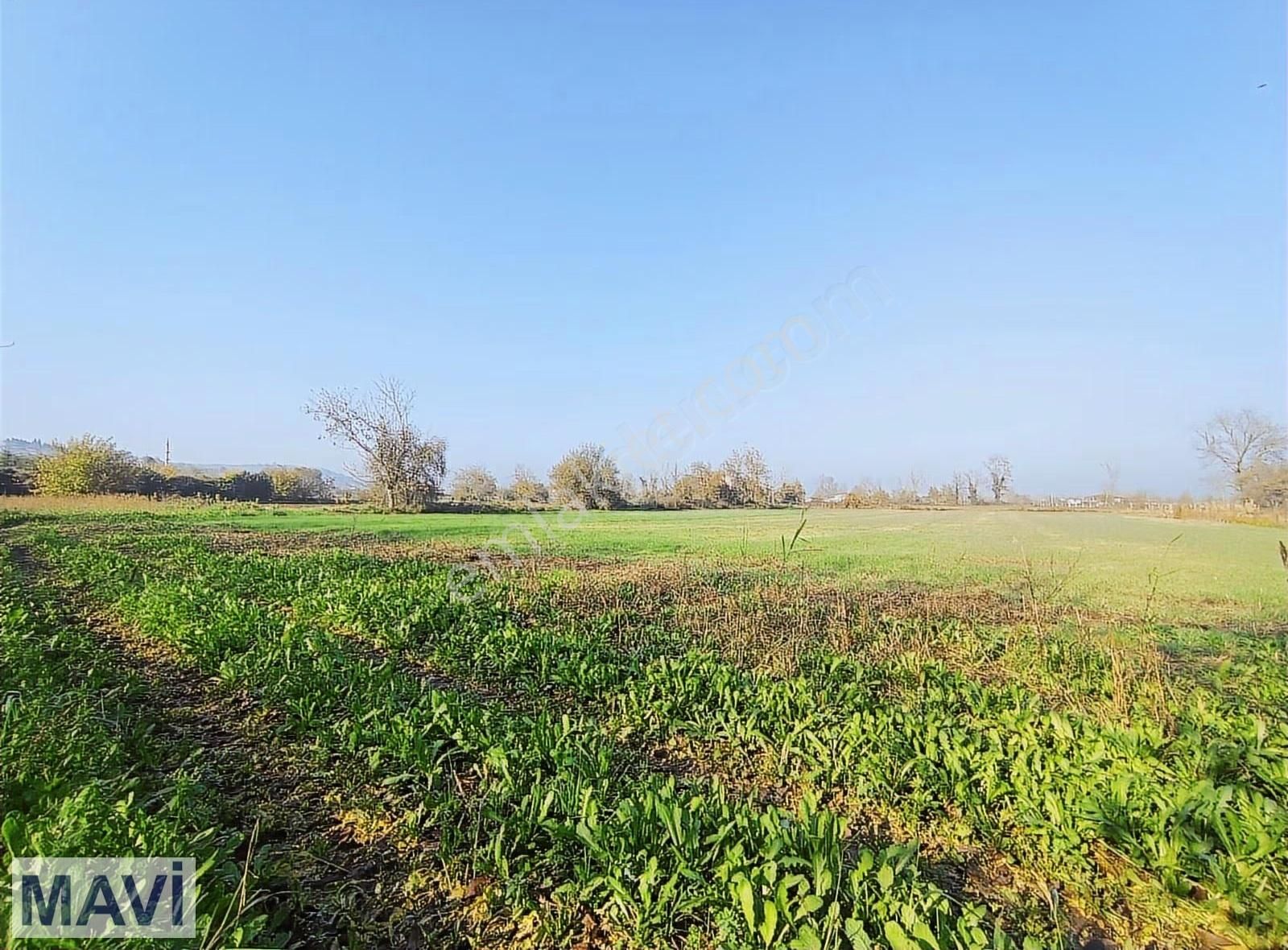 Satılık Tarla Sakarya Serdivan Selahiyede 7.049m2 Re/max Maviden - Görsel 7