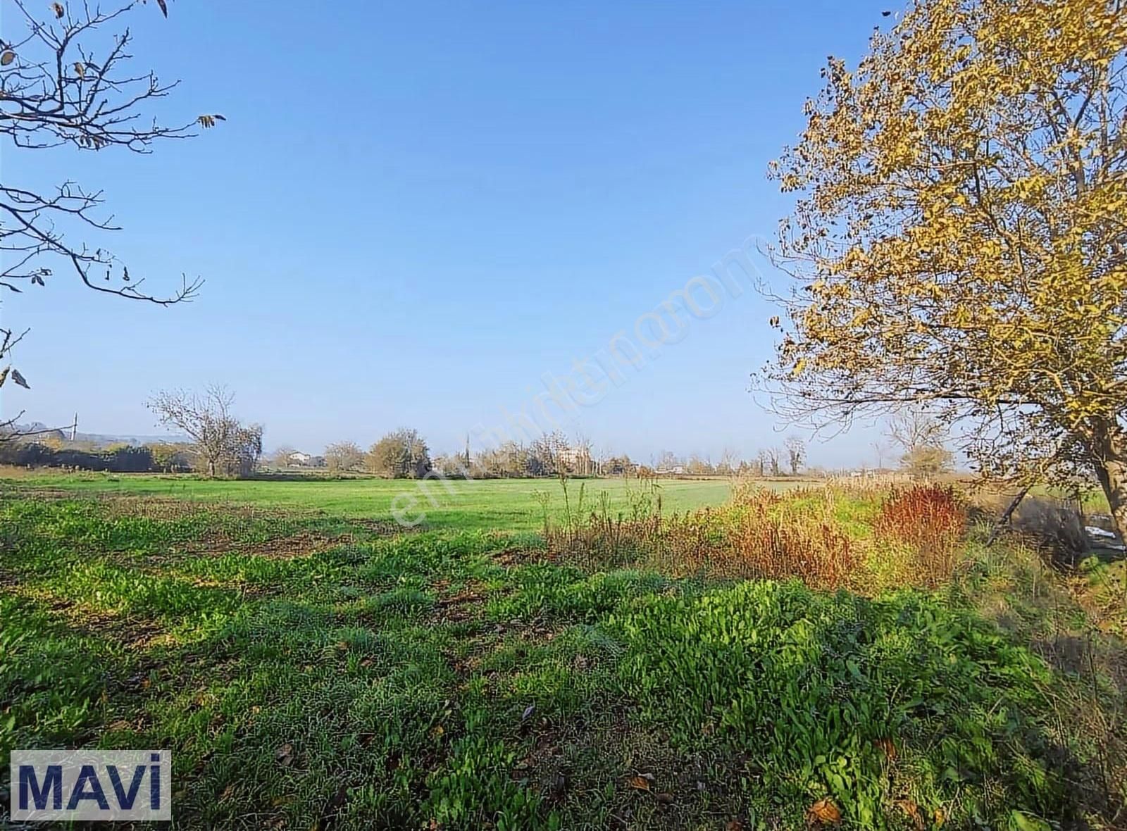 Satılık Tarla Sakarya Serdivan Selahiyede 7.049m2 Re/max Maviden