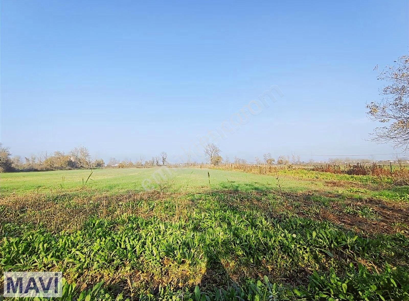 Satılık Tarla Sakarya Serdivan Selahiyede 7.049m2 Re/max Maviden - Görsel 9