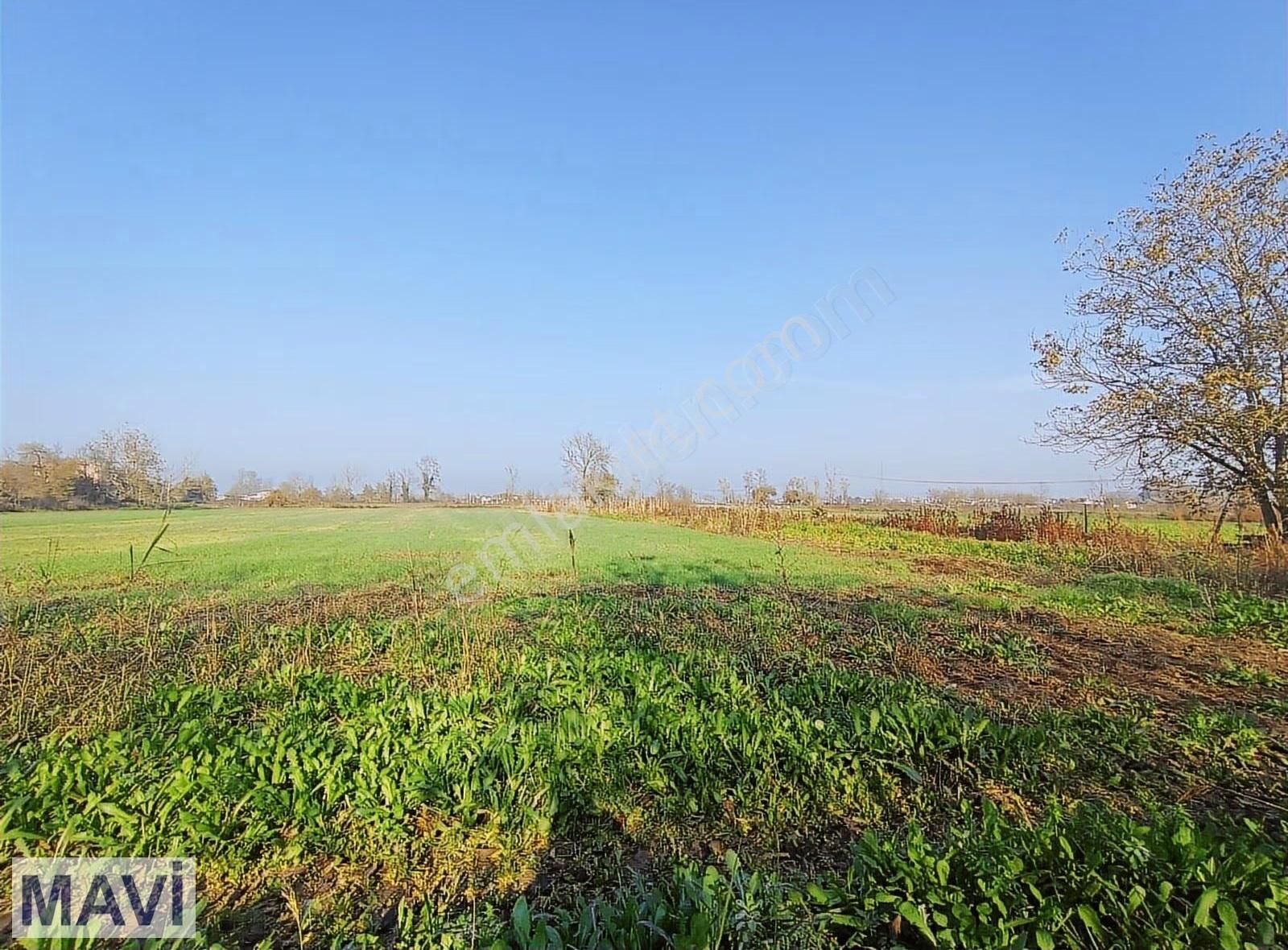 Satılık Tarla Sakarya Serdivan Selahiyede 7.049m2 Re/max Maviden - Görsel 3