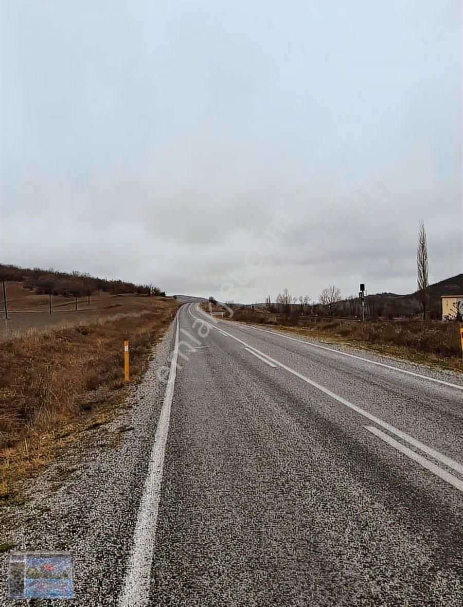 Tokat Artova Evlidere Köyünde Anayola Cephe Tek Tapu Tarla - Görsel 6