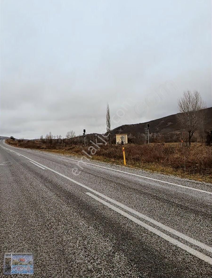 Tokat Artova Evlidere Köyünde Anayola Cephe Tek Tapu Tarla - Görsel 2