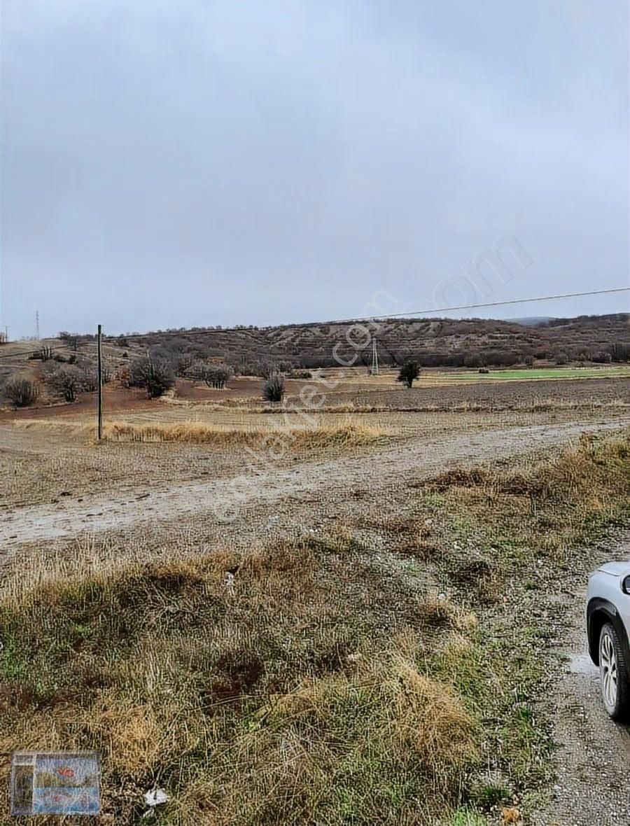 Tokat Artova Evlidere Köyünde Anayola Cephe Tek Tapu Tarla - Görsel 11