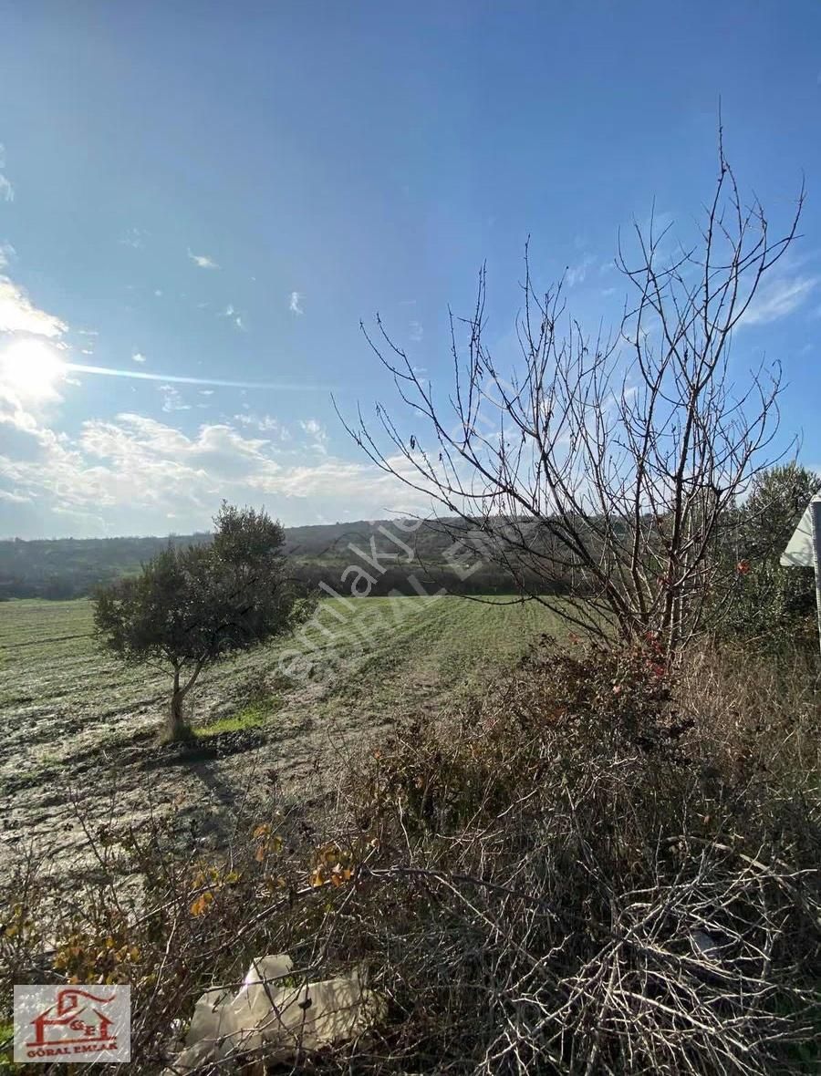 Göral Emlak'tan Akgedik'te Ticari+ Konut İmarlı Arsa - Görsel 4