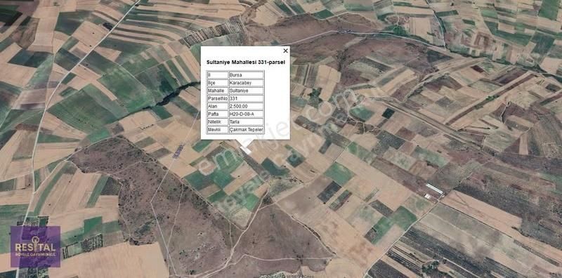 Karacabey Sultaniye'de Satılık Tek Tapu Tarla