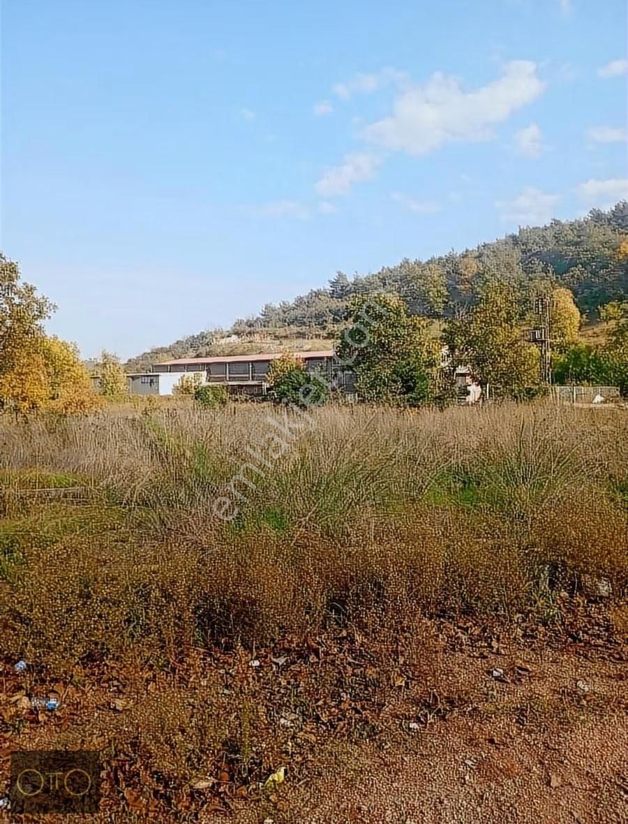 Doğaharikası Derekızık Köyünde Kısa Süreliğine Fiyat Düşmüştür - Görsel 3