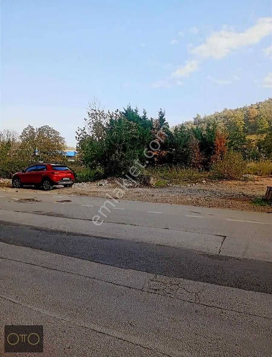 Doğaharikası Derekızık Köyünde Kısa Süreliğine Fiyat Düşmüştür