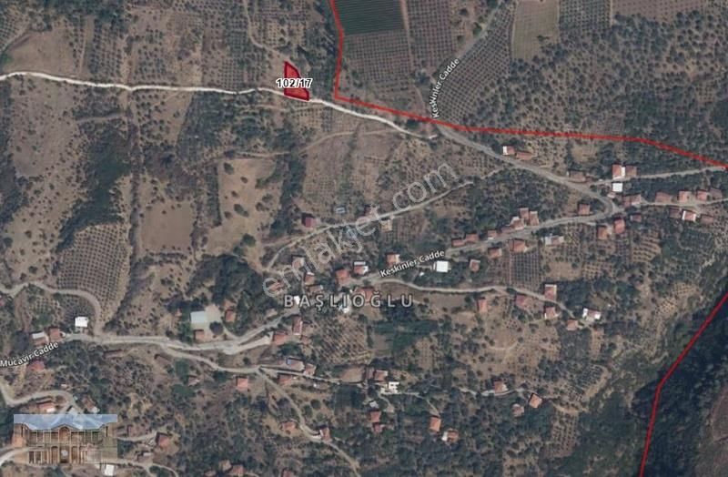 Satılık Başlıoğlunda 652 M2 Yolüstünde Çok Amaçlı Zeytinlik - Görsel 10