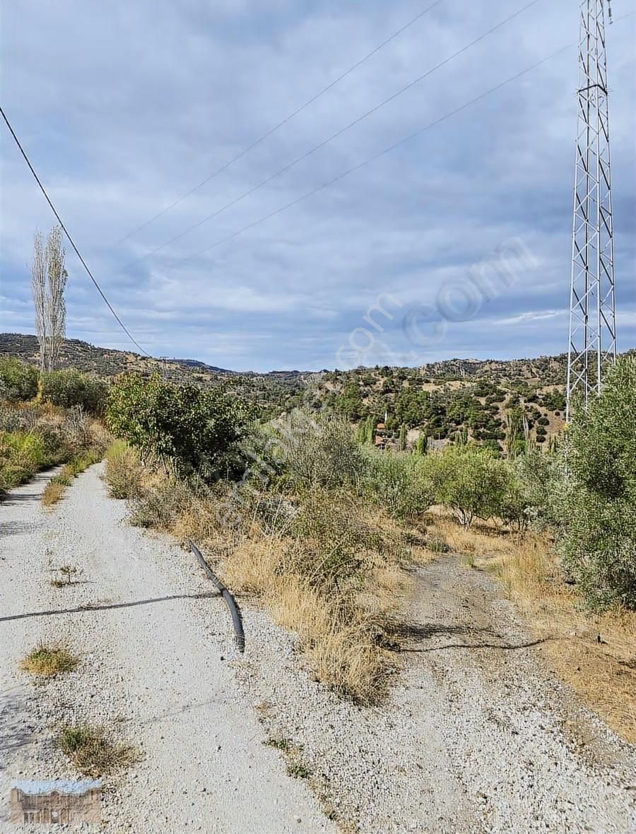 Satılık Başlıoğlunda 652 M2 Yolüstünde Çok Amaçlı Zeytinlik - Görsel 23