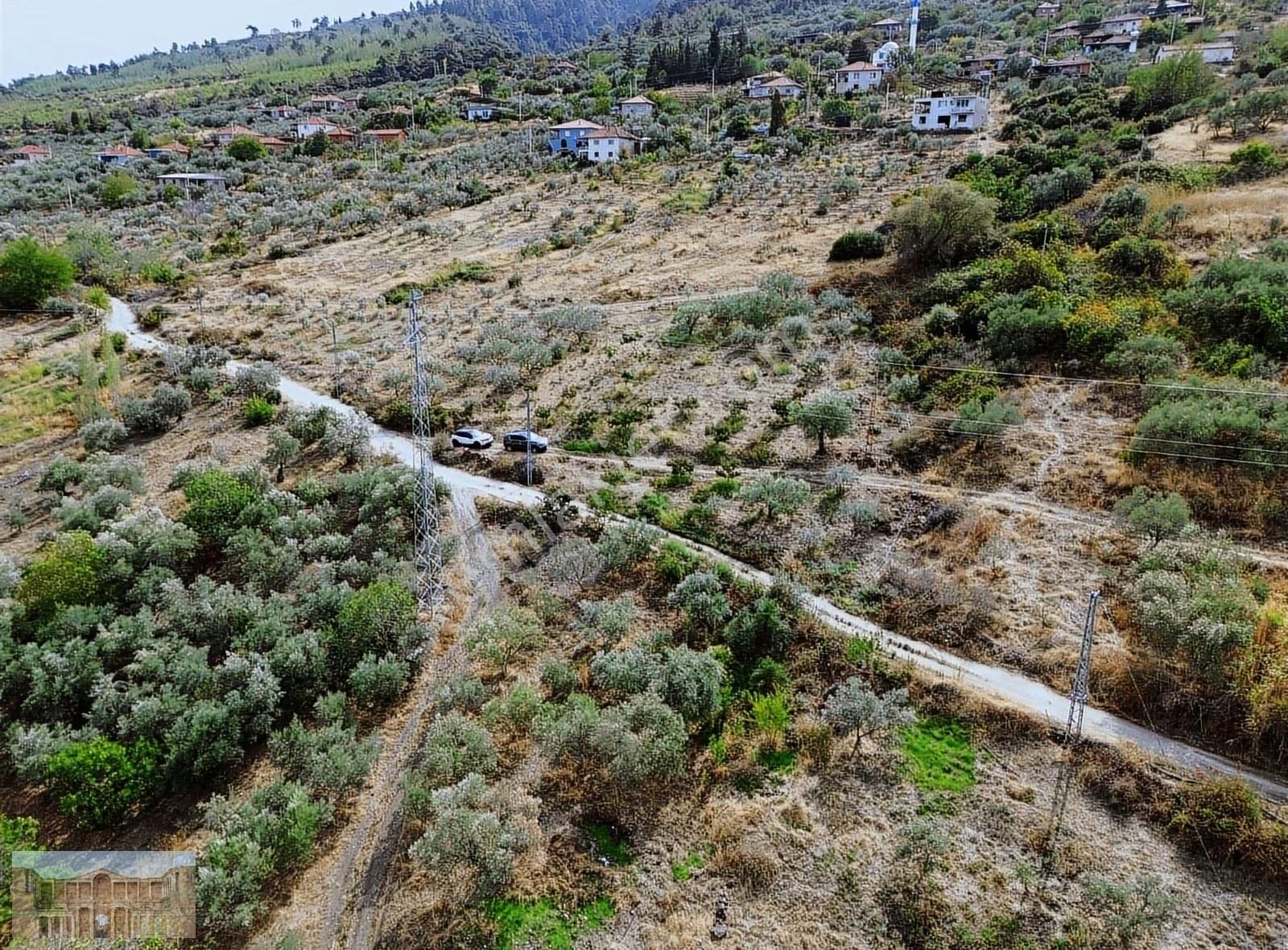 Satılık Başlıoğlunda 652 M2 Yolüstünde Çok Amaçlı Zeytinlik - Görsel 21