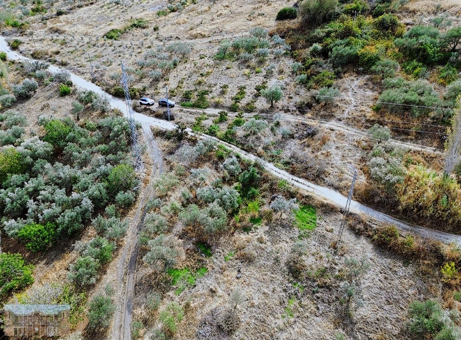 Satılık Başlıoğlunda 652 M2 Yolüstünde Çok Amaçlı Zeytinlik - Görsel 20
