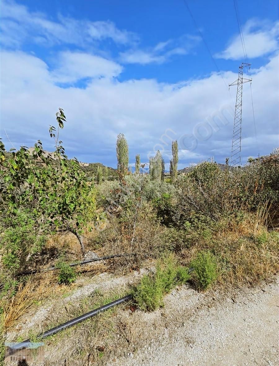 Satılık Başlıoğlunda 652 M2 Yolüstünde Çok Amaçlı Zeytinlik - Görsel 18