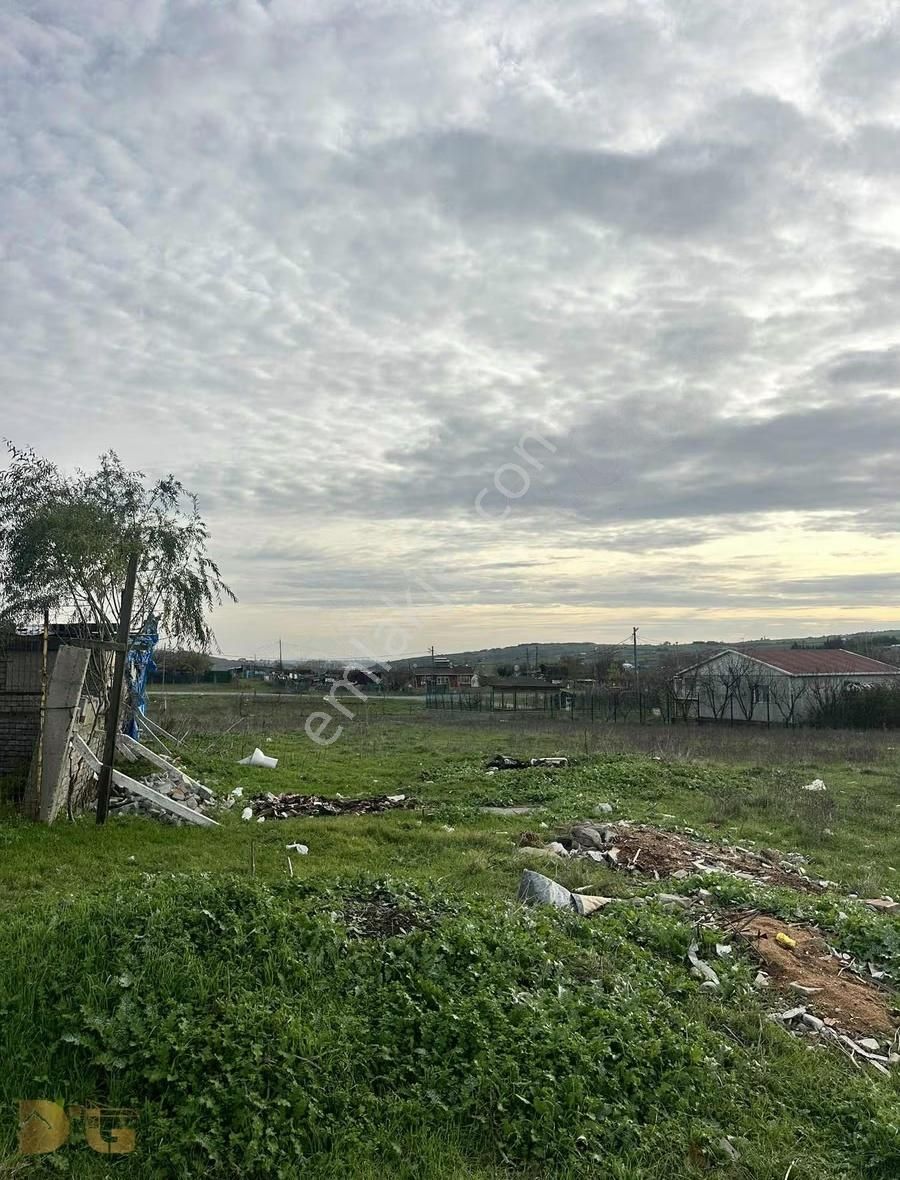 Taşoluk Türkköşe De 300 M2 Müstakil İfrazlı Arsa - Görsel 3