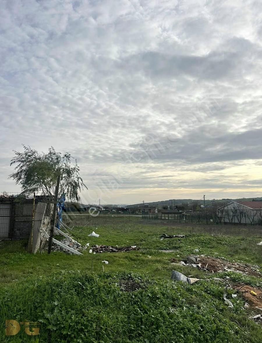 Taşoluk Türkköşe De 300 M2 Müstakil İfrazlı Arsa - Görsel 4