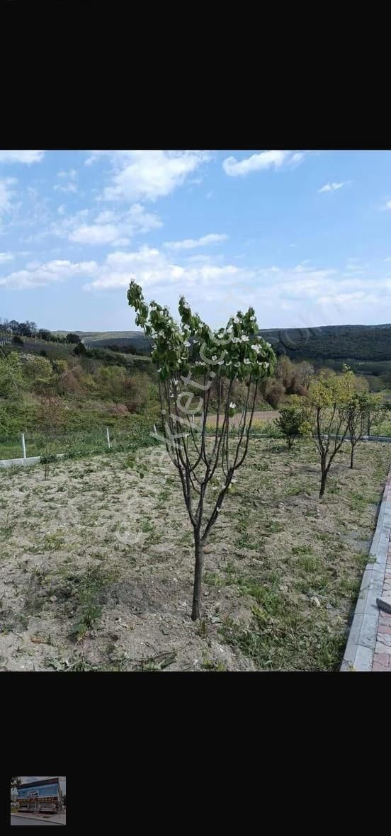 Dizayn212 Gayrımenkul Arnavutköy Balaban'da 580m2 Çevrili - Görsel 5