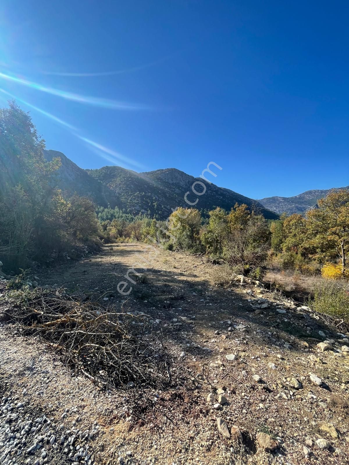 Acil Satılık Bahçe