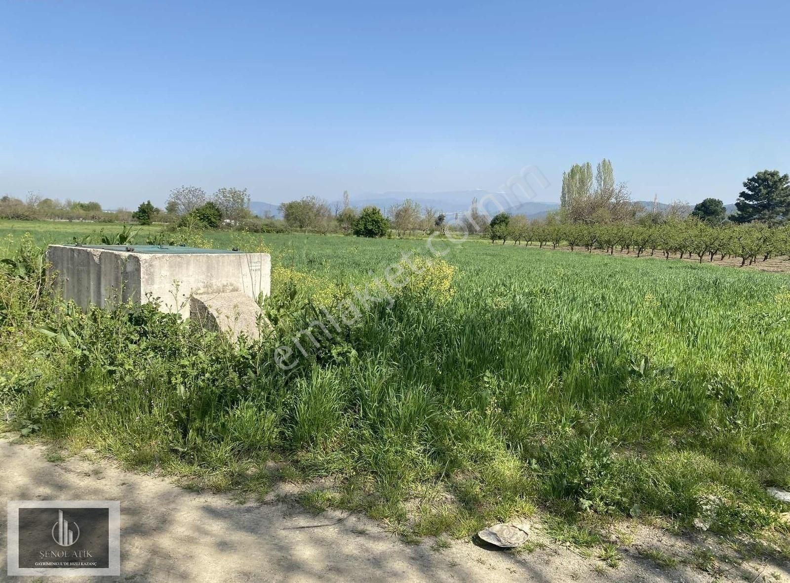 Bursa Nilüfer Kayapa Da Asfalt Yola Cephe Arazi - Görsel 3