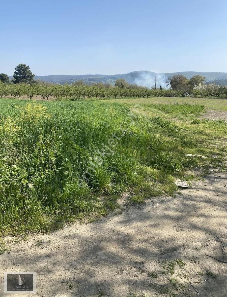 Bursa Nilüfer Kayapa Da Asfalt Yola Cephe Arazi - Görsel 5