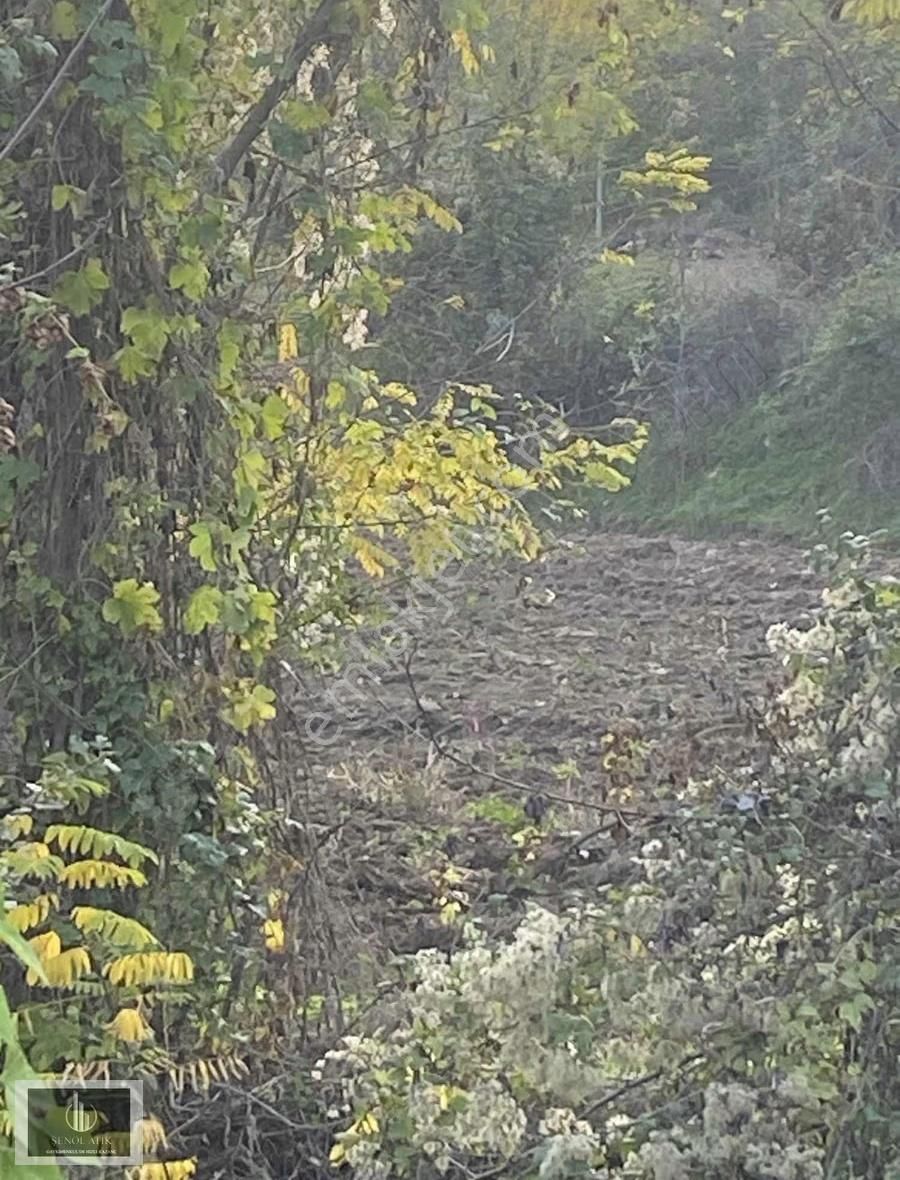 Yaz Kış Akan Dereye Cephe Hobi Bahçesi - Görsel 2