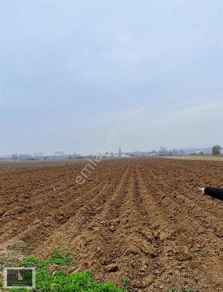 Bursa Yenişehir Afşar Mahallesinde Yolu Suyu Elektriği Var - Görsel 4